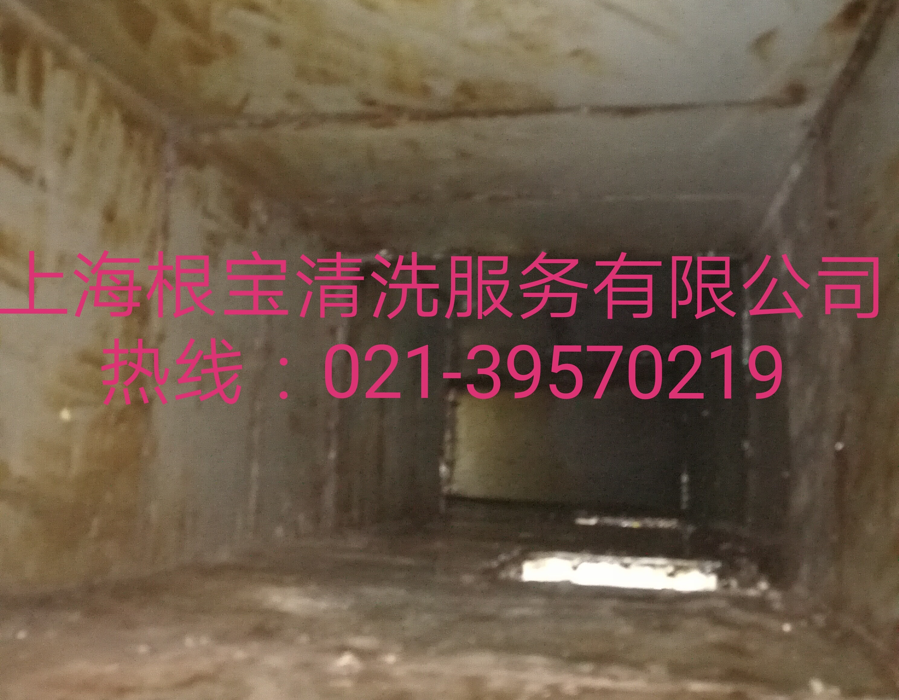 上海根宝清洗服务有限公司 上海根宝清洗服务有限公司